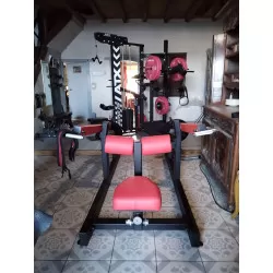 Machine triceps KELTON