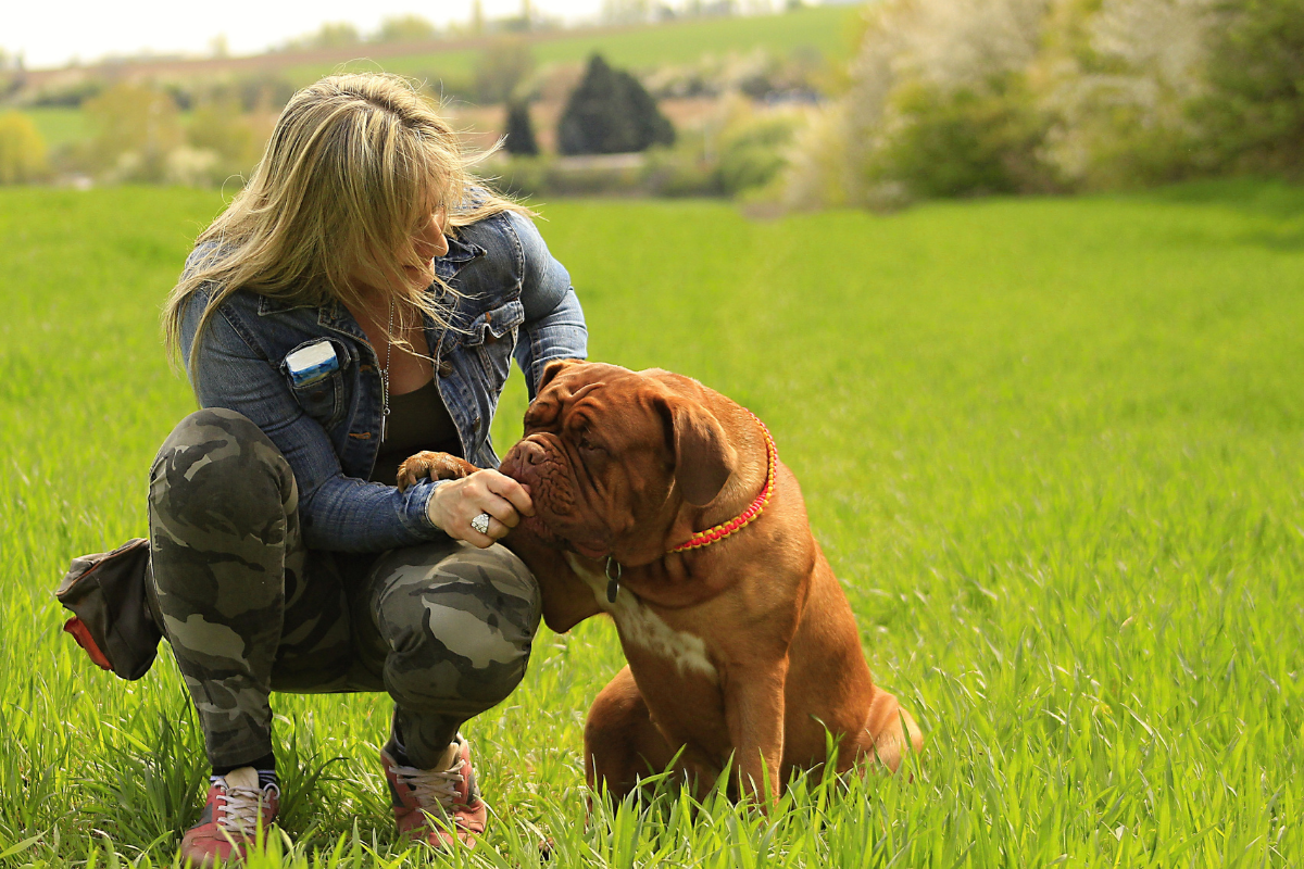 chien-maitre-relation-canva