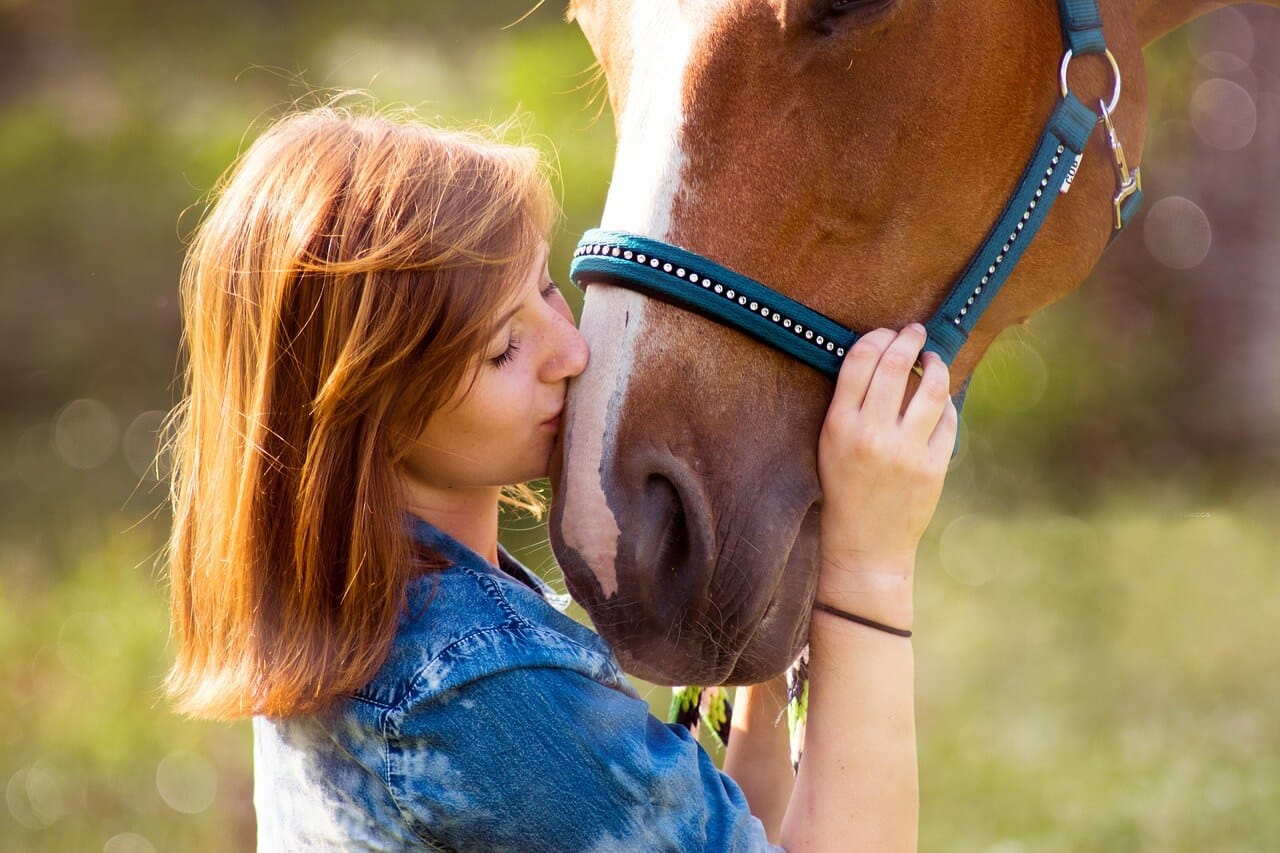 Horse coaching et les bienfaits du sport à cheval - linkNsport