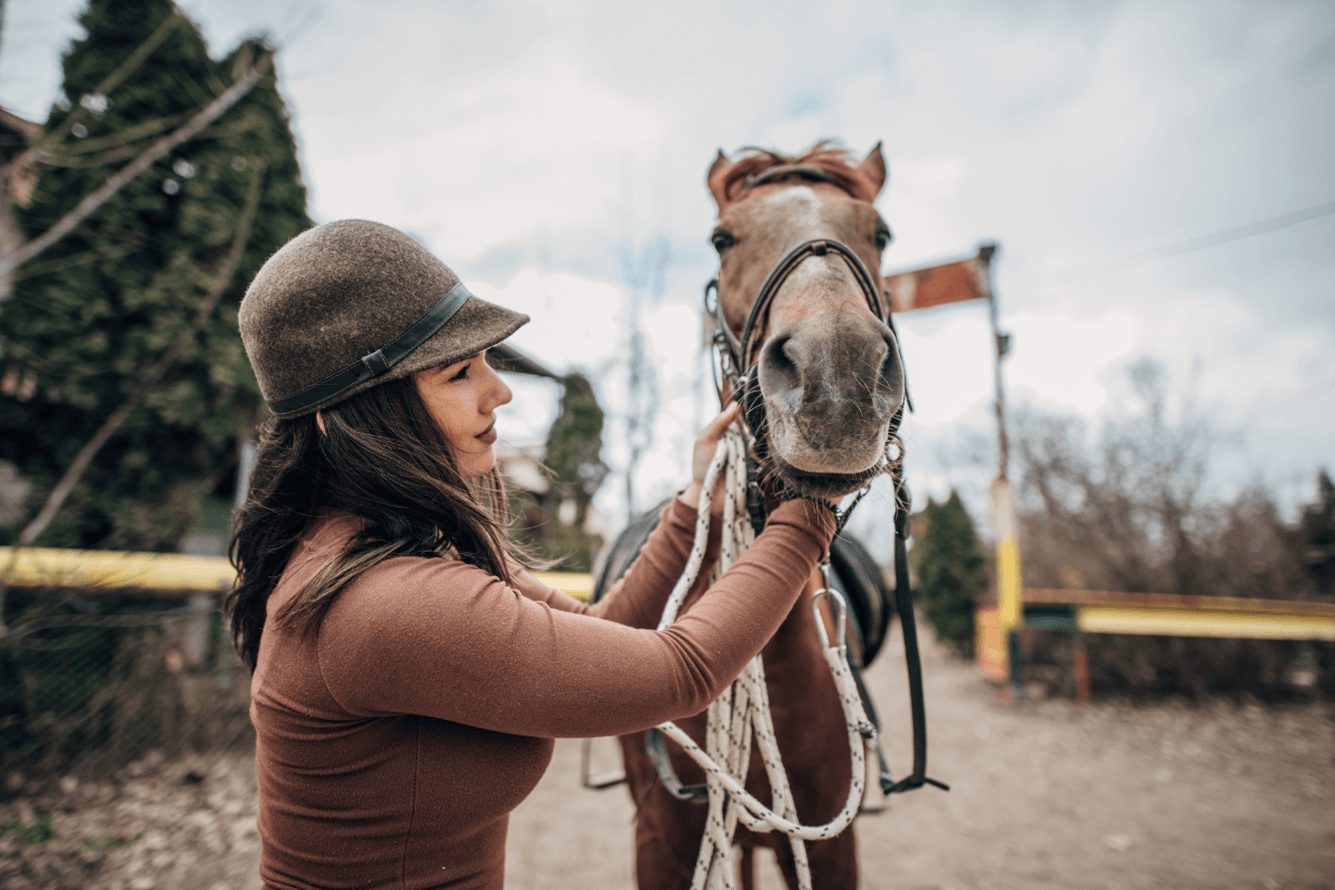 cheval-cavalier-canva