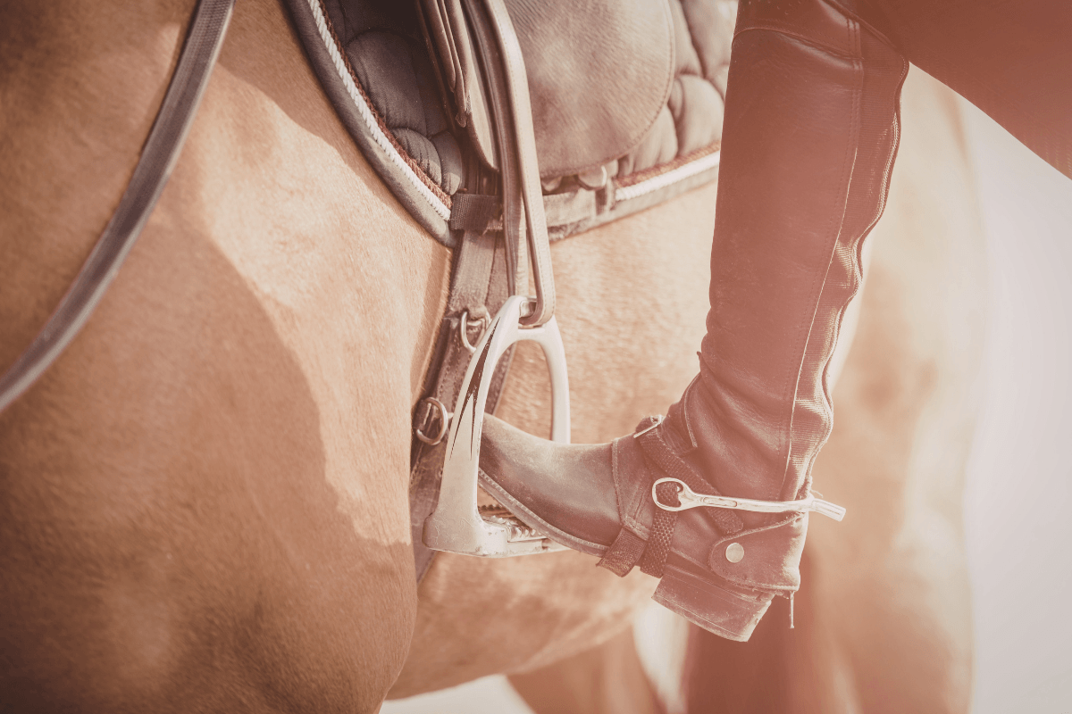 etrier-equitation-canva