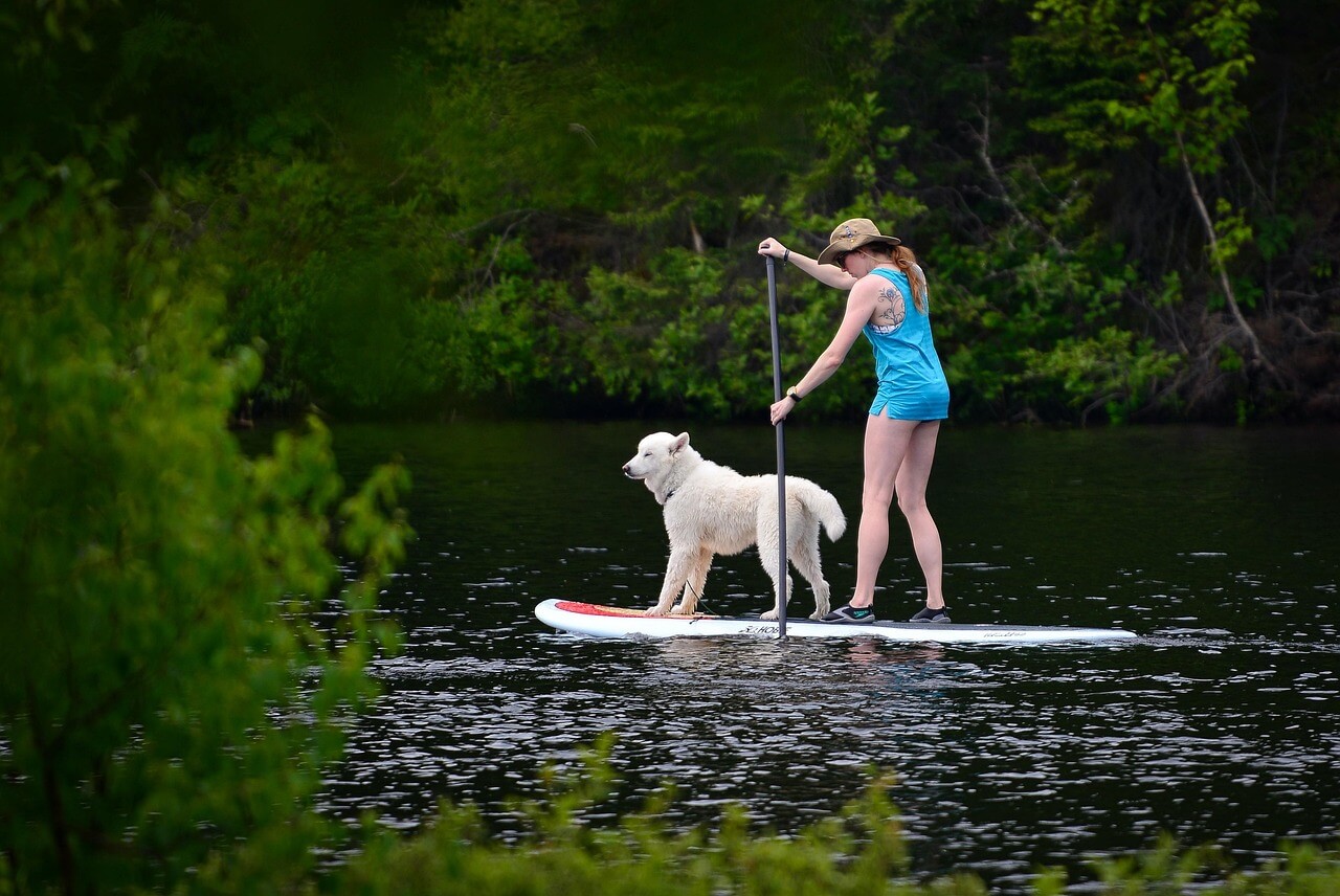 stand-up-paddle-board-pixabay
