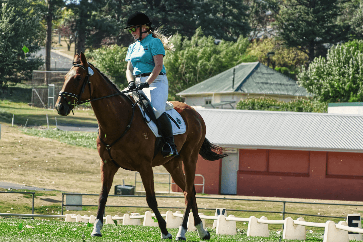 dressage-equitation-canva