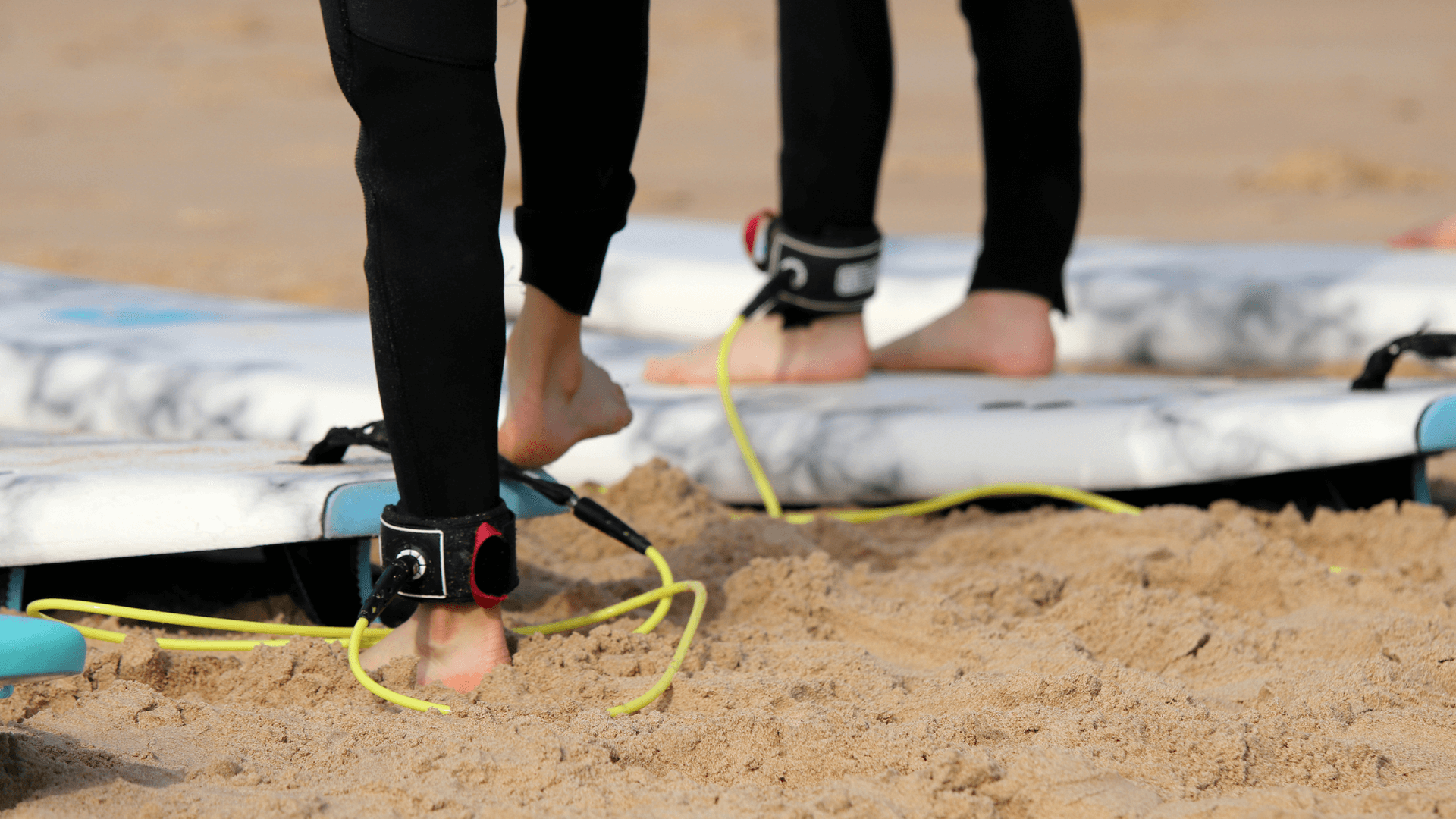 leash-surf-canva