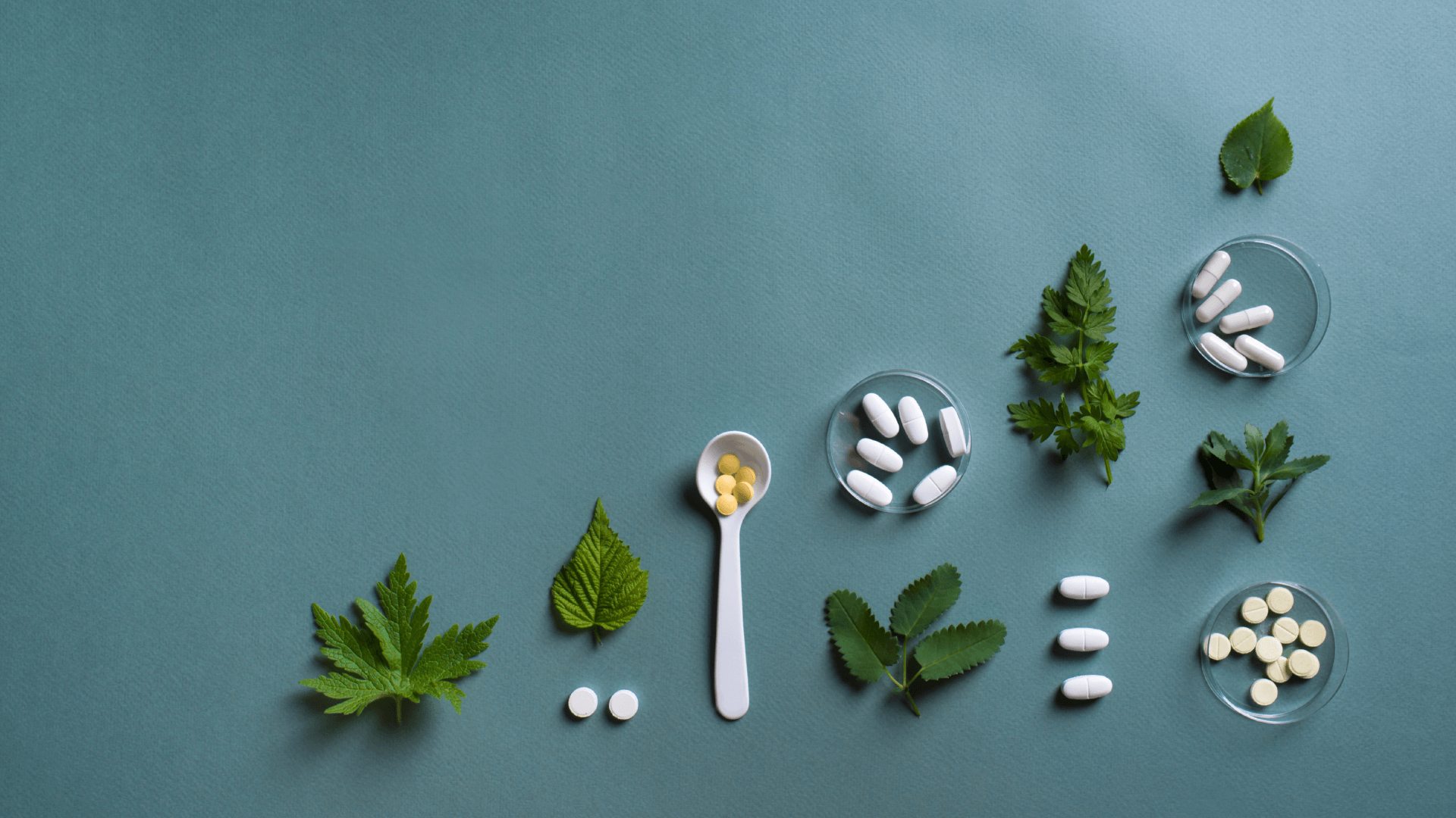 naturopathie-canva