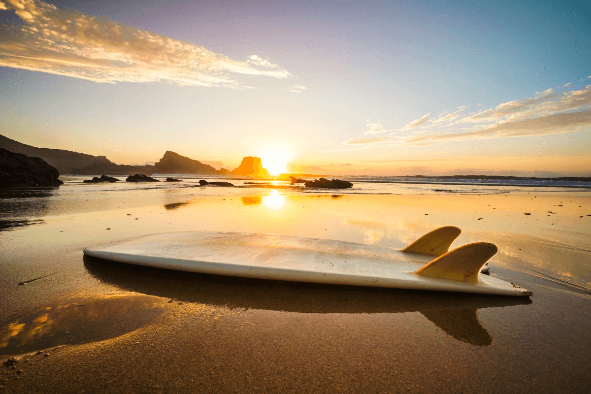 surf-canva