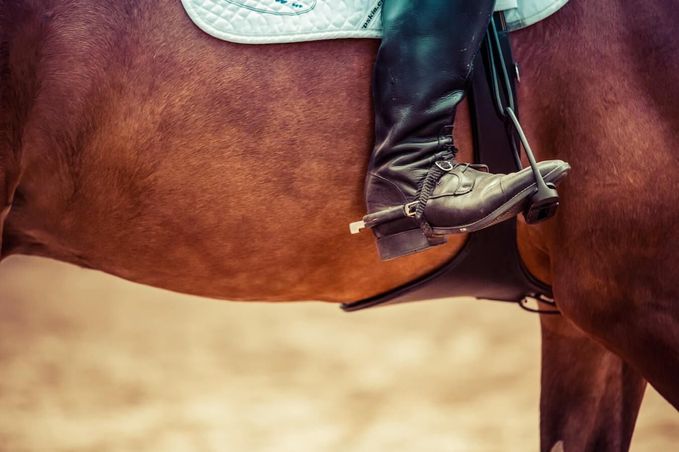 Sac à dos pour l'équitation - Chaussures & Bottes - Kramer Equitation