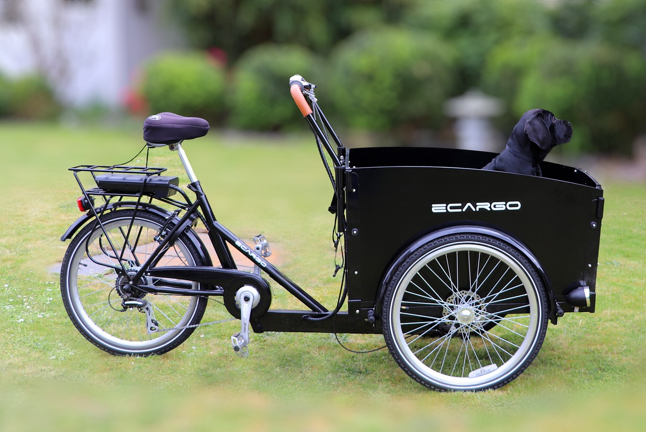 electric cargo bike-pixabay