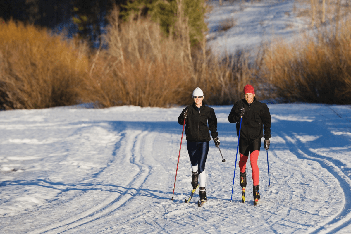 ski-fond-canva
