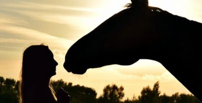 Horse coaching et les bienfaits du sport à cheval