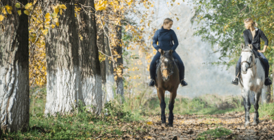 3 bonnes raisons de renouveler son matériel d’équitation régulièrement