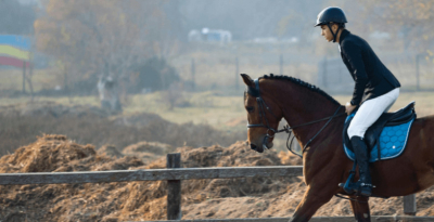 Comment choisir sa selle de dressage ?