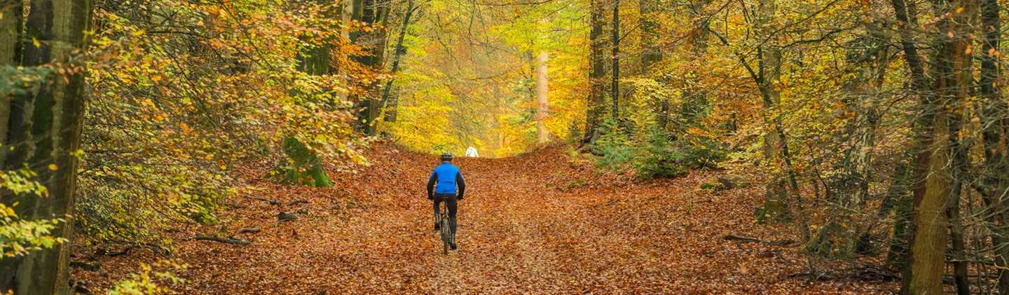 En automne, Découvrez nos vélos d'occasion linkNsport